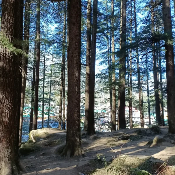 Hadimba Devi Temple