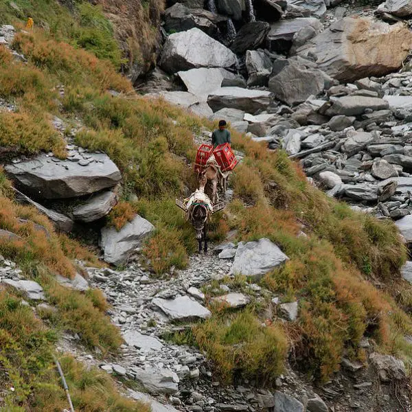 Bhagsu Waterfall