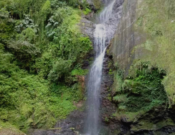 Chadwick Waterfall