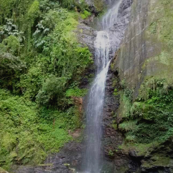 Chadwick Waterfall