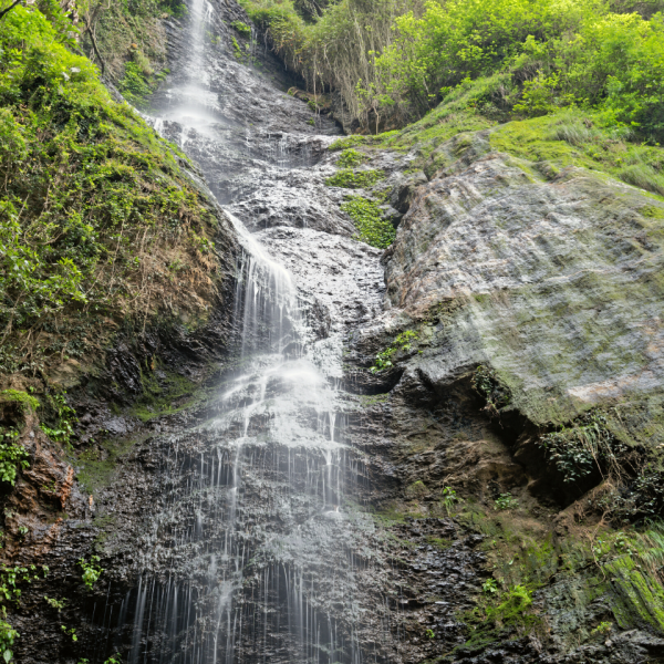 Chadwick Waterfall