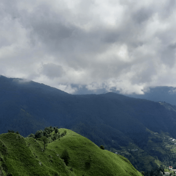 Green Valley Shimla