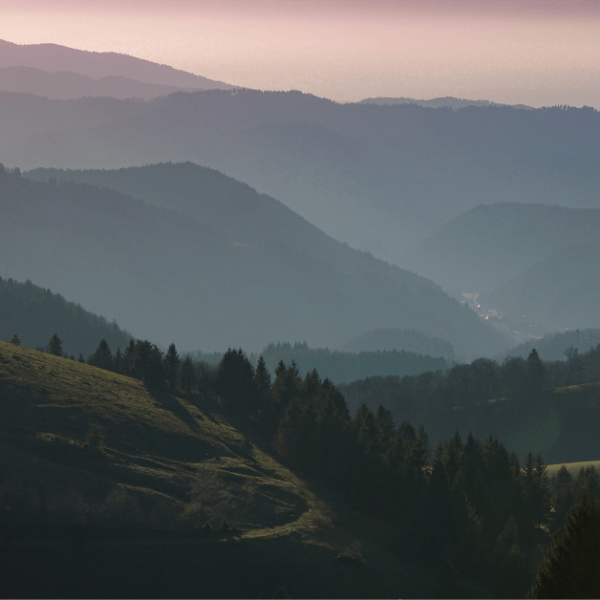 Green Valley Shimla