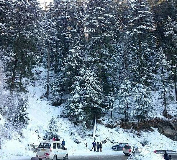Himalayan Nature Park
