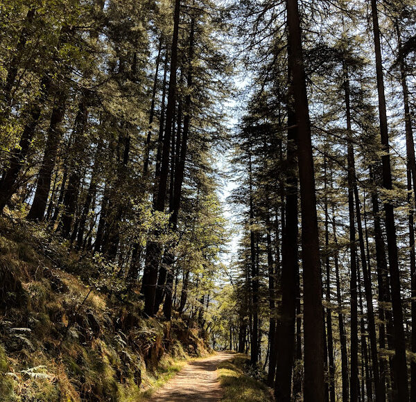 Shimla Water Catchment Wildlife Sanctuary