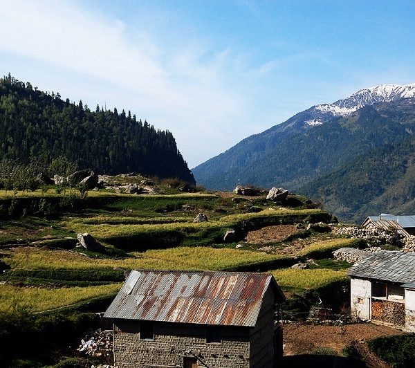 Kothi Village Manali