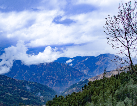 Naldehra
