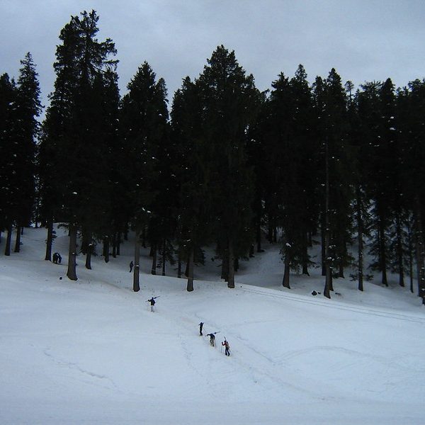 Narkanda