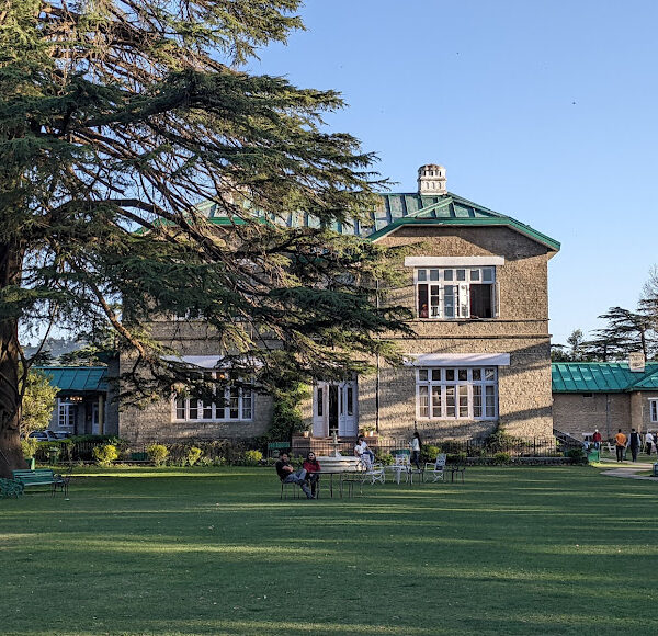 Chail Solan
