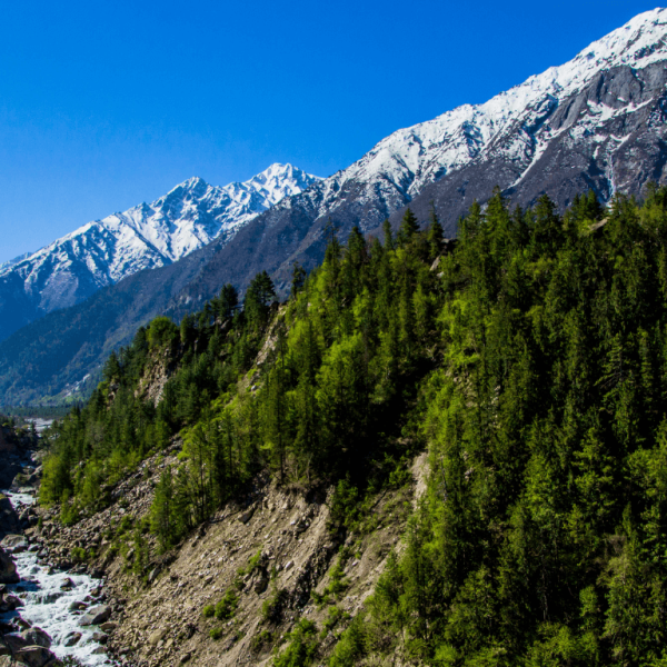 Sangla