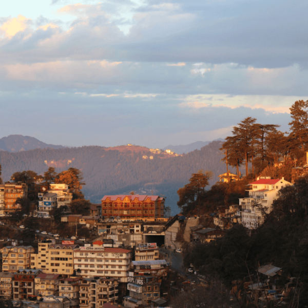 Shimla