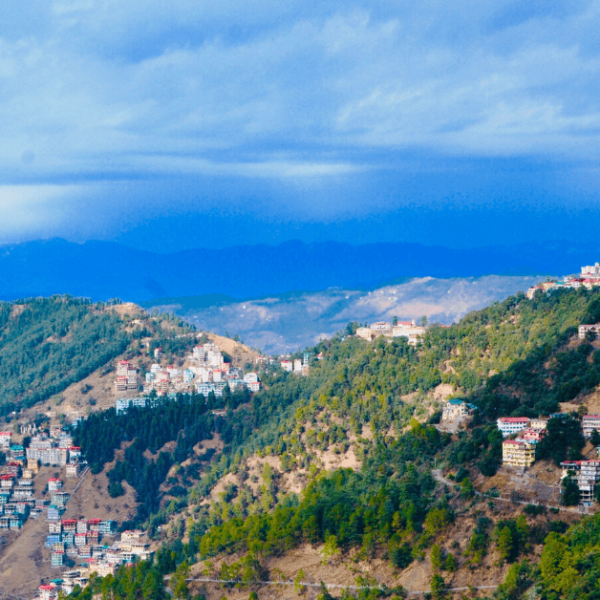 Shimla