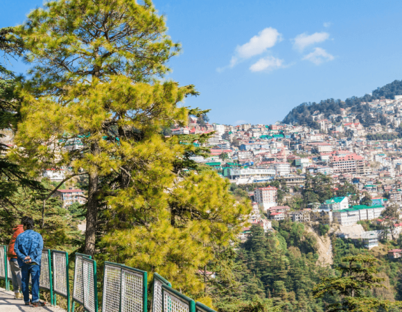 How to Find an Affordable Hotel in Shimla