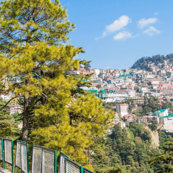 Hotel In Shimla