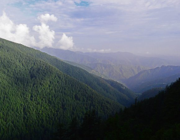 Shimla Reserve Forest Sanctuary