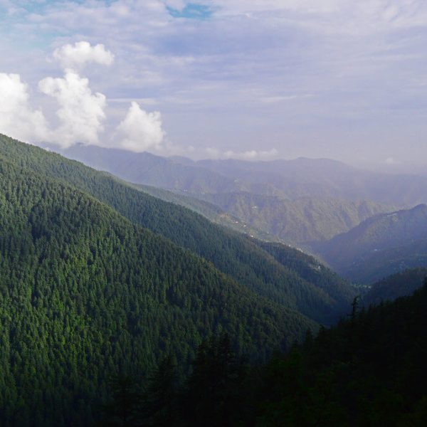 Shimla Reserve Forest Sanctuary