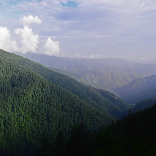 Shimla Reserve Forest Sanctuary