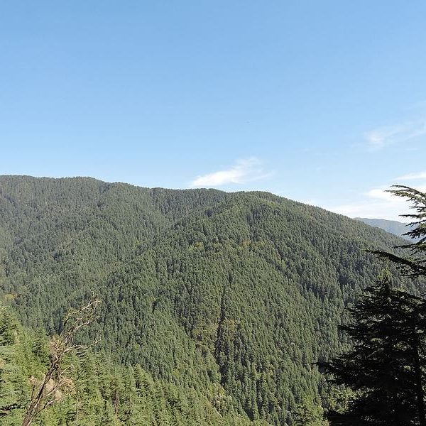 Shimla Reserve Forest Sanctuary