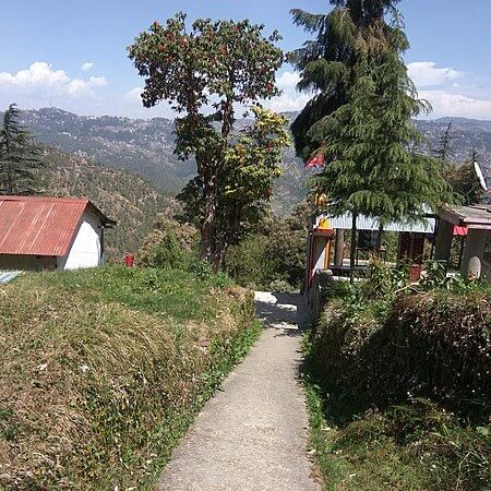 Shoghi