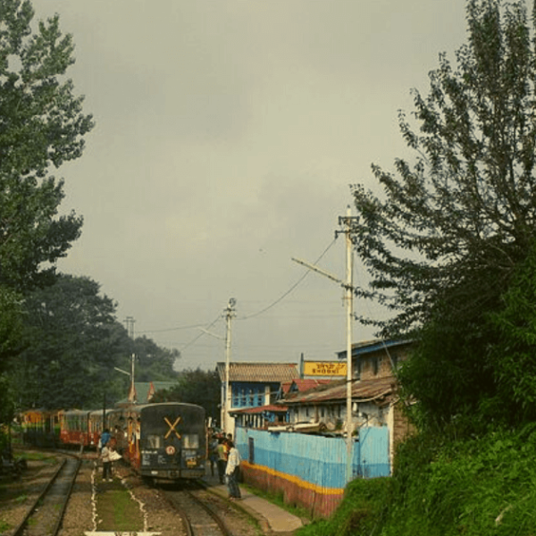 Shoghi