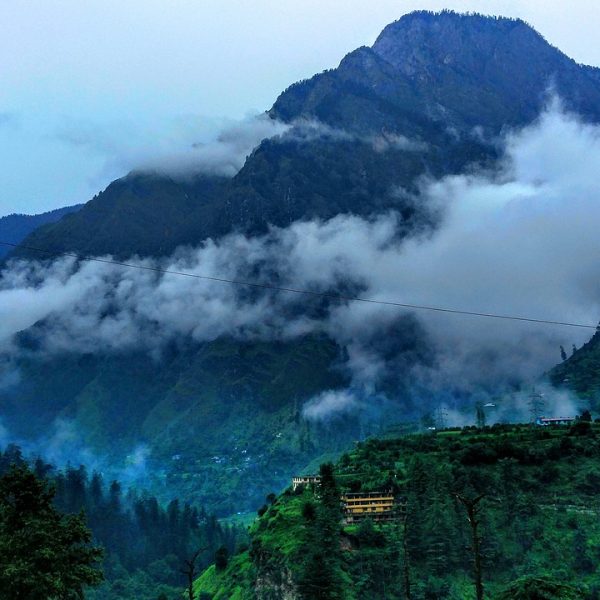 Shoghi