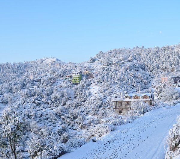 Shoghi