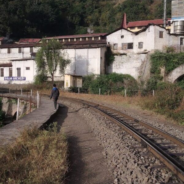 Solan Brewery