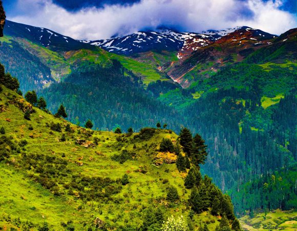 Kothi Village Manali