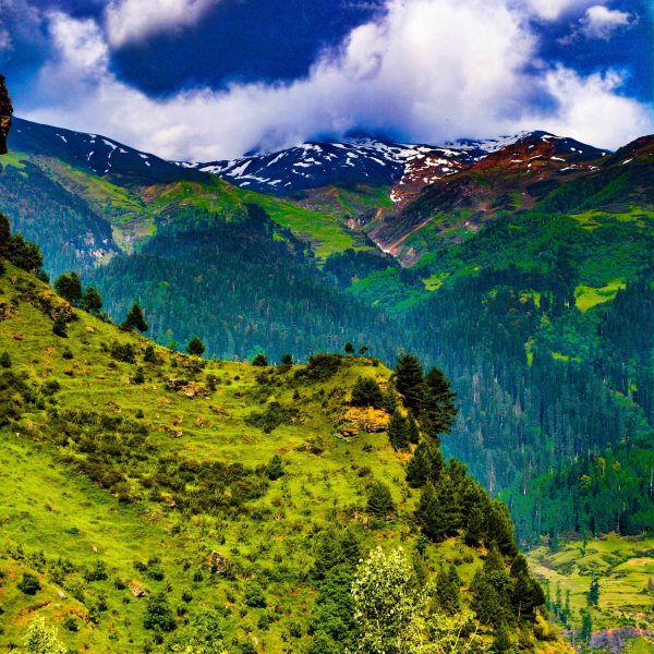 Kothi Village Manali