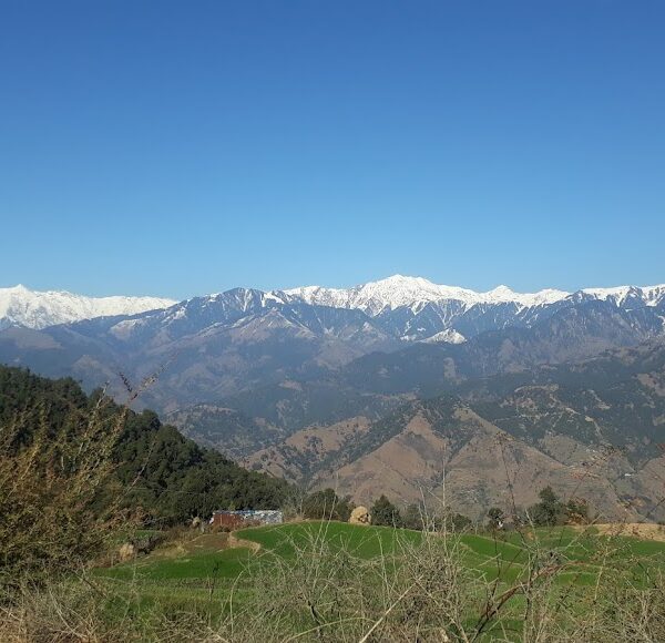 Barrot Valley Mandi