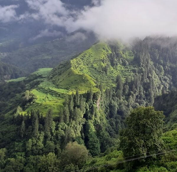 Barrot Valley Mandi
