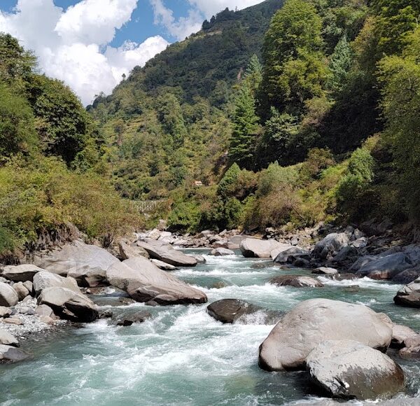 Barrot Valley Mandi