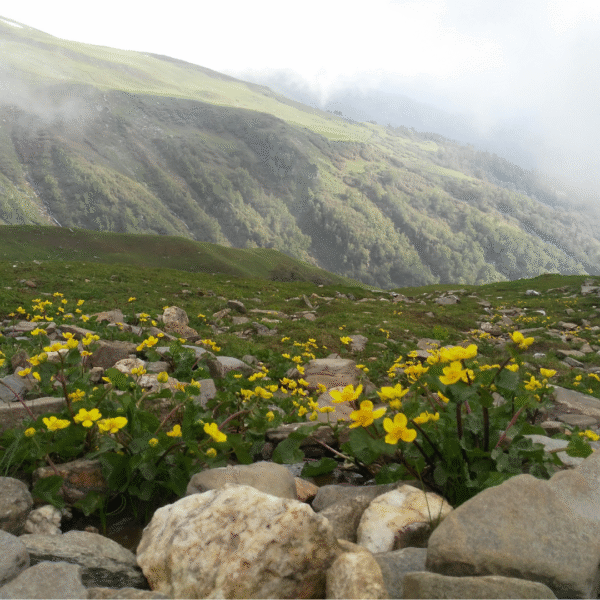 Discovering Jot Pass Chamba: A Simple Travel Guide