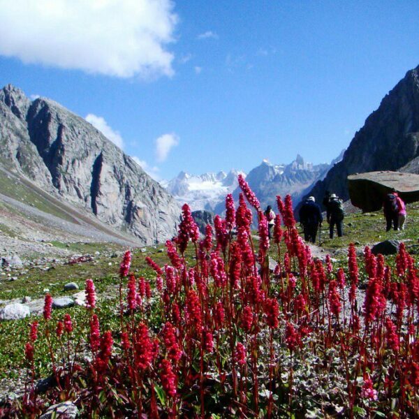 Hampta Pass, Manali