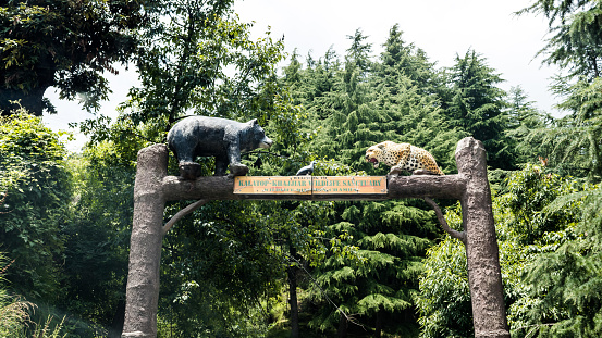 Kalatop Wildlife Sanctuary: A Peaceful Forest Waiting to Be Explored
