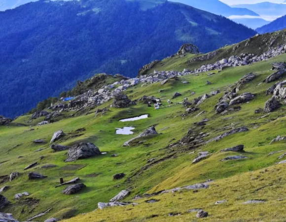 Exploring Chanshal Pass Shimla: Beauty, Roads, and Travel Tips