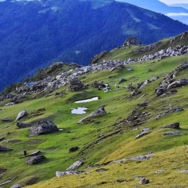 Exploring Chanshal Pass Shimla: Beauty, Roads, and Travel Tips