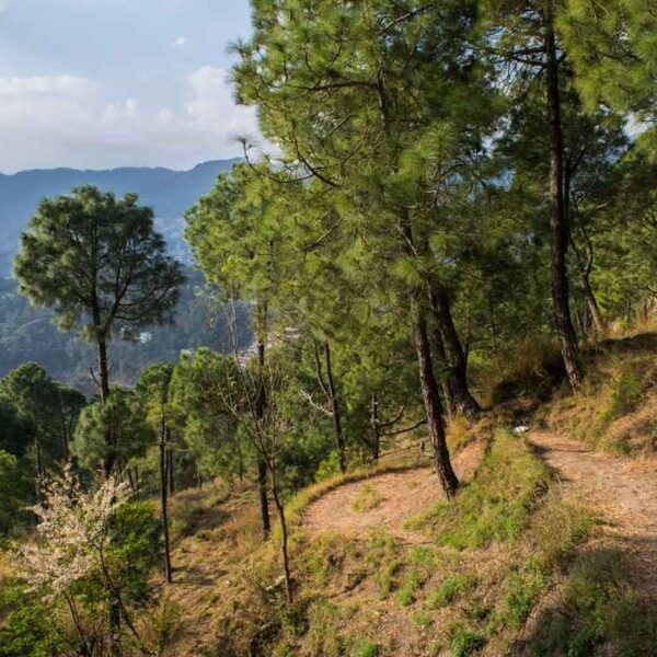 Karol Tibba Trek