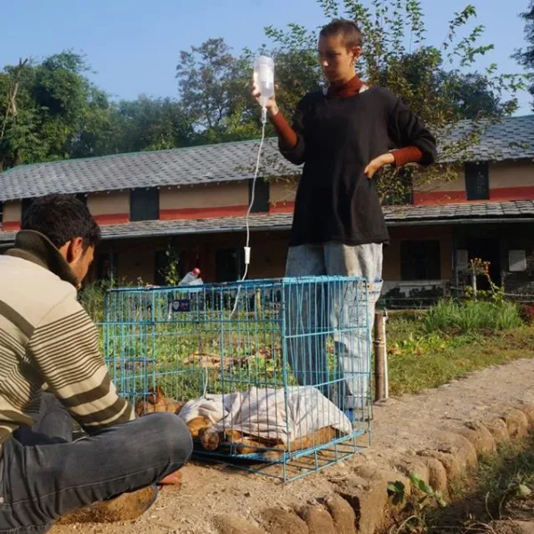 Peepal Farm