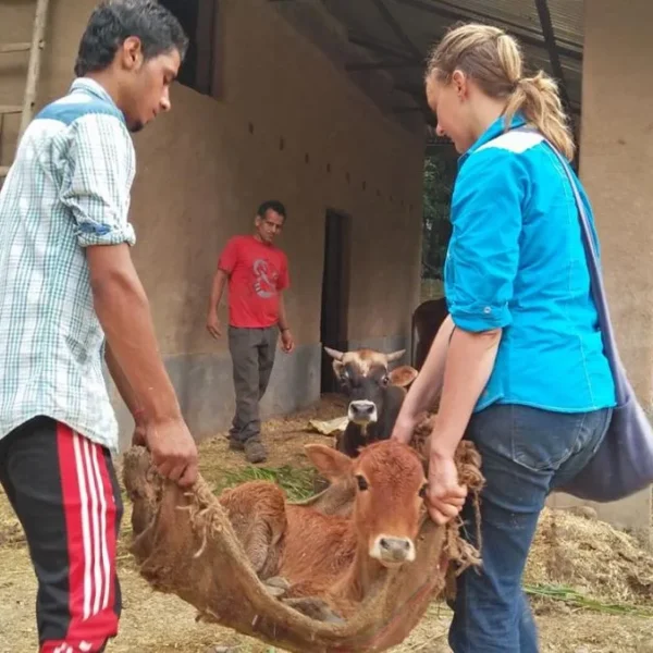 Peepal Farm