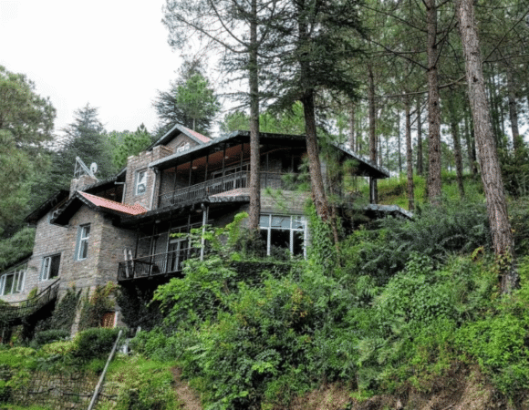 Majathal Wildlife Sanctuary: A Quiet Escape Into Nature