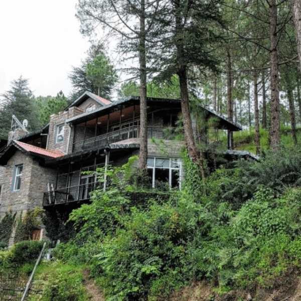 Majathal Wildlife Sanctuary: A Quiet Escape Into Nature