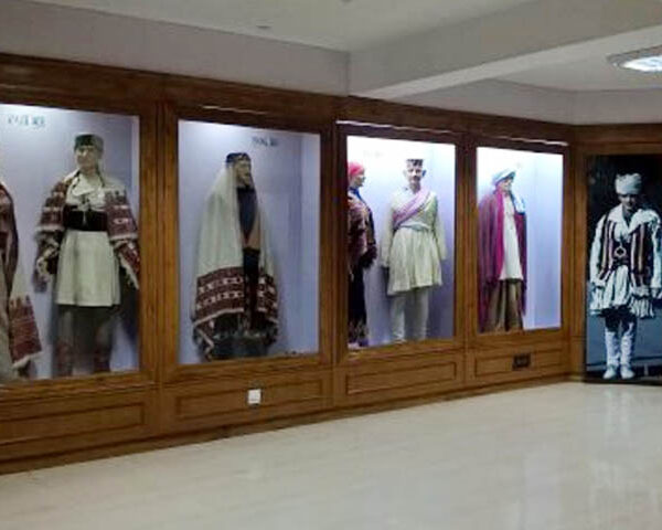 Himachal State Museum