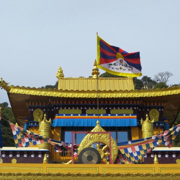 Nechung Monastery – A Peaceful Travel Guide to Dharamshala