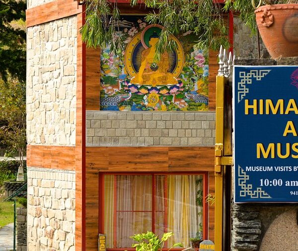Himalayan Art Museum: Where the Mountains Whisper Through Art