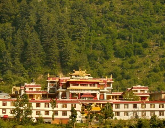 Dhakpo Shedrupling Monastery A Peaceful Tibetan Buddhist Retreat in Himachal Pradesh