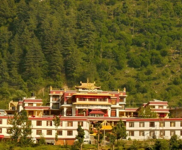 Dhakpo Shedrupling Monastery A Peaceful Tibetan Buddhist Retreat in Himachal Pradesh