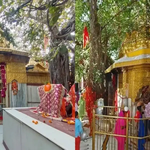Chintpurni Mata Temple
