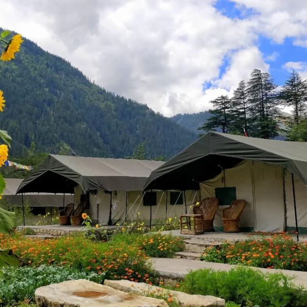 Kinner Camp Sangla