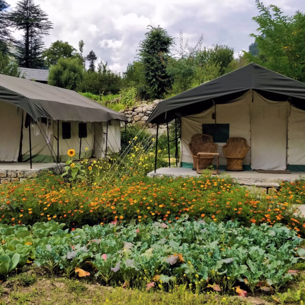 Kinner Camp Sangla